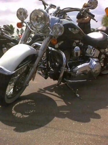 GMOLE PRZEDNIE HARLEY SOFTAIL CHROM