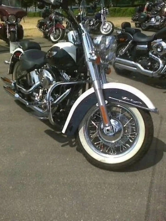 GMOLE PRZEDNIE HARLEY SOFTAIL CHROM